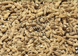 American Ginseng