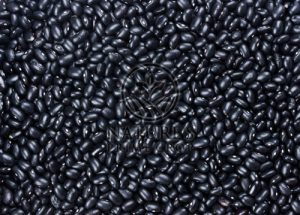 Black Beans