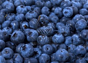 Blueberry Extract