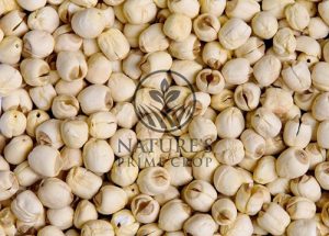 Lotus seed extract