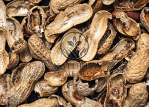 Peanut Hulls