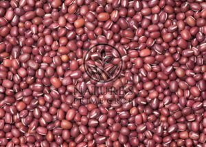 Red bean extract