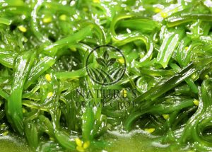 Spirulina extract